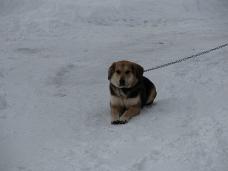 Klik za večjo sliko